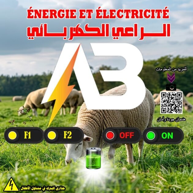 🐑⚡ السِّراح الكهربائي الاحترافي من Eurl Agagna DZ